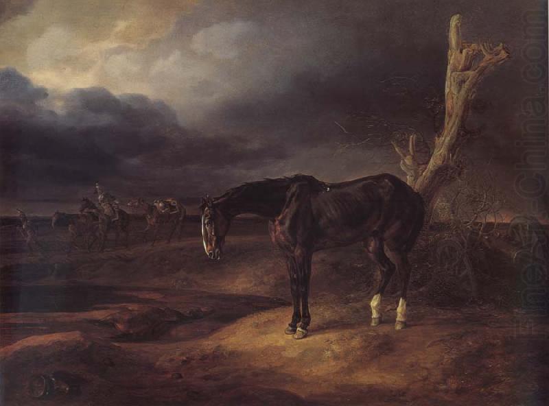 A gentleman loose horse on the battlefield of Borodino 1812, Adam Albrecht
